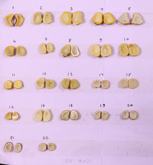 Geode Pairs ( Earring ) by Selection 10-20 mm Yellow Color My Store
