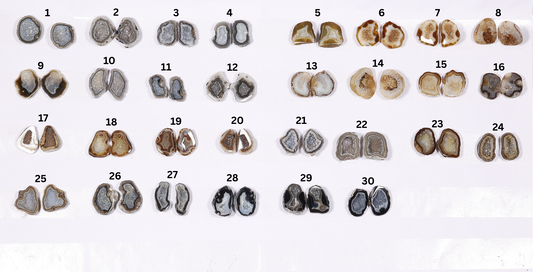 Design Geode Pairs ( Earing ) by Selection 10 - 20 mm Black Beige My Store