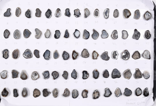 Geode Stones ( Pendant ) by Selection 20 - 25 mm Brown For Making Pendants Jewelry My Store