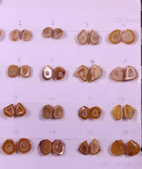 Geode Pairs ( Earring ) by Selection 15 - 20 mm Beige Color Geodes My Store