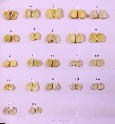 Geode Pairs ( Earring ) by Selection  10-20 mm Yellow Color My Store
