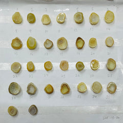 Small Beige Agate Geode Druzy Stones (15–20 mm) – Natural Crystal Pieces for Rings My Store