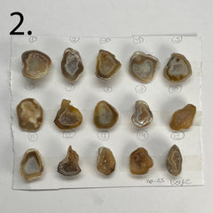 Geode Pendant stone by Selection 20 - 25MM Beige My Store