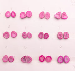 Pink Geode Pair Earrings | Natural 10-15 mm Stones | Unique Handpicked Matching Geodes for Earring My Store