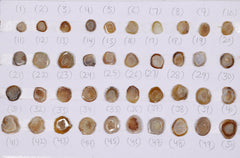 Geode Rings stone by Selection  10 - 20 mm Beige For Rings Making My Store
