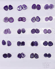 Geode Pairs ( Earring ) by Selection 15 - 20 mm Purple Color My Store