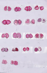 Geode Pairs ( Earring ) by Selection 10 - 15 mm  Pink Color My Store
