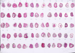 Geode Stones ( Pendant ) by Selection 20 - 25 mm Pink For Making Pendant Jewelry My Store