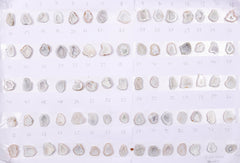 Geode Stones ( Pendant ) by Selection 15 - 20 mm White For Making Pendant Jewelry My Store