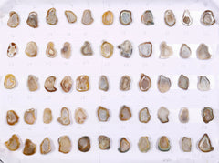 Geode Stones ( Pendant ) by Selection 25 - 30 mm Beige For Making Jewelry My Store