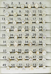 Rings by Selection Anokha Brass Gold Plated 15 - 20 mm White My Store