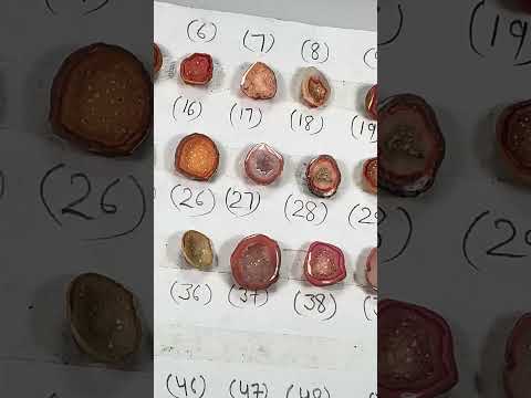 Geode Rings stone by Selection 10 - 20 mm Orange For Making Rings