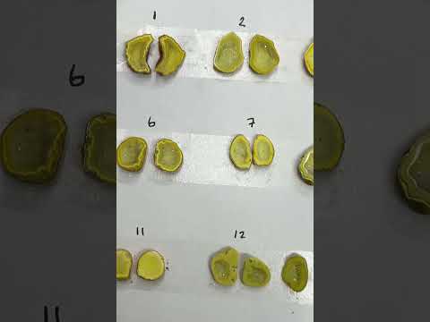 Geode Pairs ( Earring ) by Selection  10-20 mm Yellow Color