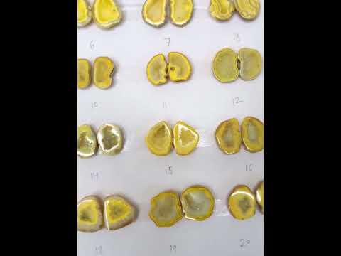 Yellow Geode Pair Earrings | Natural 25-30 mm Stones | Unique Handpicked Matching Geodes for Earring