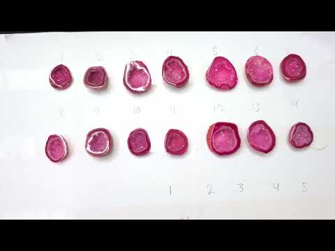 10–20mm Natural Pink Geode Crystals – Handpicked Geode Stones for Jewelry ( Ring )Making | Get Exact Piece Shown in the Picture