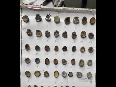 Small Brown Agate Geode Druzy Stones 15–20 mm – Natural Crystal Pieces for Rings